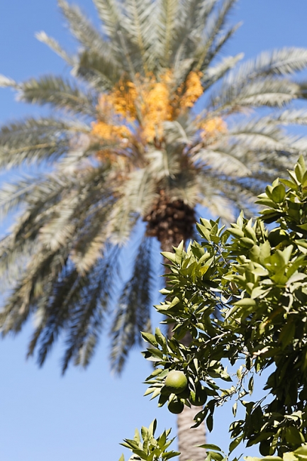 Chiraz-Naranjestan museum-094